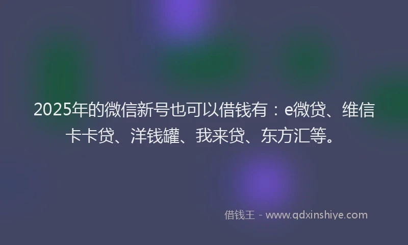 2025年的微信新号也可以借钱有：e微贷、维信卡卡贷、洋钱罐、我来贷、东方汇等。