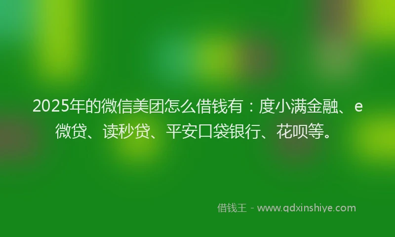 2025年的微信美团怎么借钱有：度小满金融、e微贷、读秒贷、平安口袋银行、花呗等。