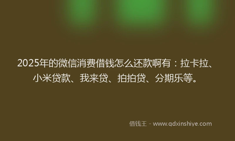 2025年的微信消费借钱怎么还款啊有：拉卡拉、小米贷款、我来贷、拍拍贷、分期乐等。