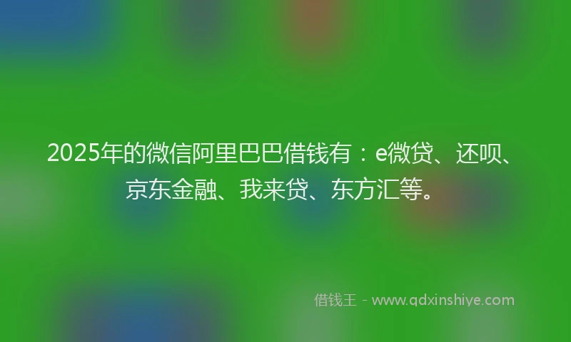 2025年的微信阿里巴巴借钱有：e微贷、还呗、京东金融、我来贷、东方汇等。