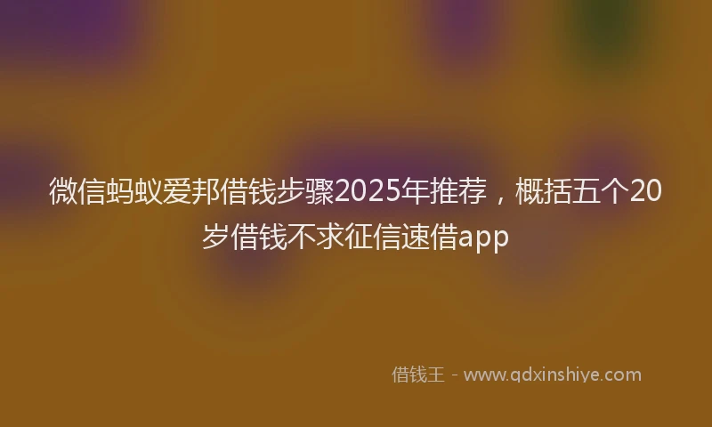 微信蚂蚁爱邦借钱步骤2025年推荐，概括五个20岁借钱不求征信速借app