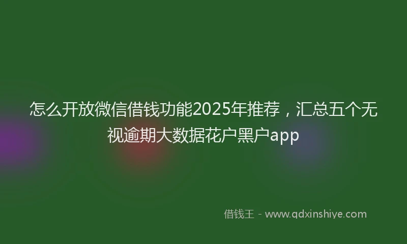 怎么开放微信借钱功能2025年推荐，汇总五个无视逾期大数据花户黑户app