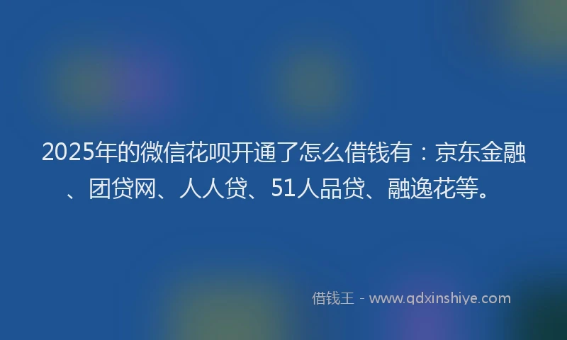 2025年的微信花呗开通了怎么借钱有：京东金融、团贷网、人人贷、51人品贷、融逸花等。