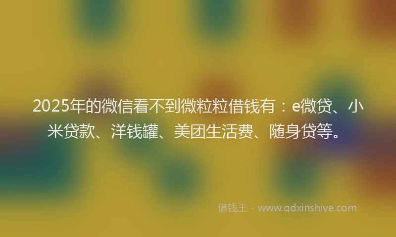 2025年的微信看不到微粒粒借钱有：e微贷、小米贷款、洋钱罐、美团生活费、随身贷等。