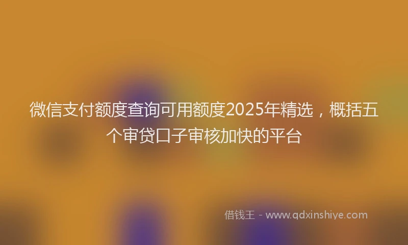 微信支付额度查询可用额度2025年精选，概括五个审贷口子审核加快的平台