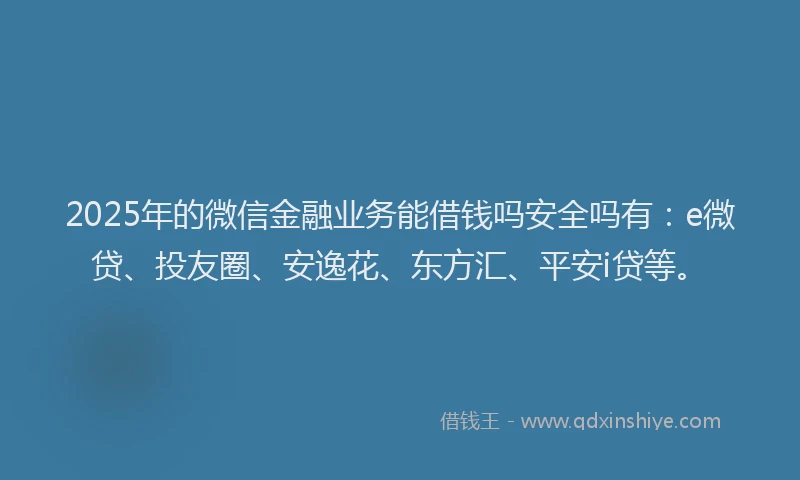 2025年的微信金融业务能借钱吗安全吗有：e微贷、投友圈、安逸花、东方汇、平安i贷等。