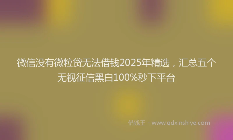 微信没有微粒贷无法借钱2025年精选，汇总五个无视征信黑白100%秒下平台