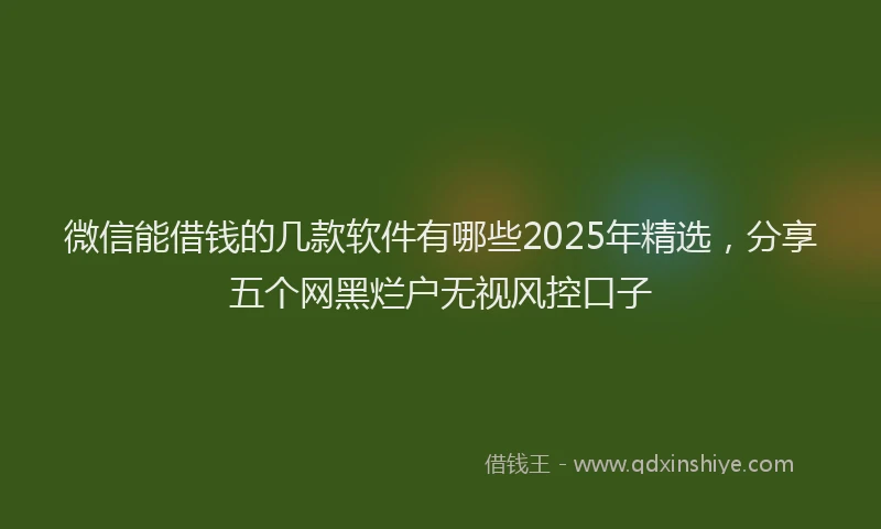 微信能借钱的几款软件有哪些2025年精选，分享五个网黑烂户无视风控口子