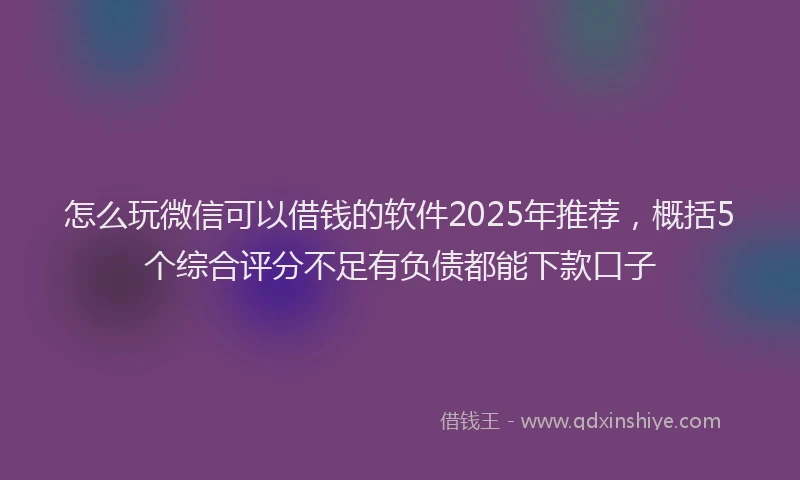 怎么玩微信可以借钱的软件2025年推荐，概括5个综合评分不足有负债都能下款口子