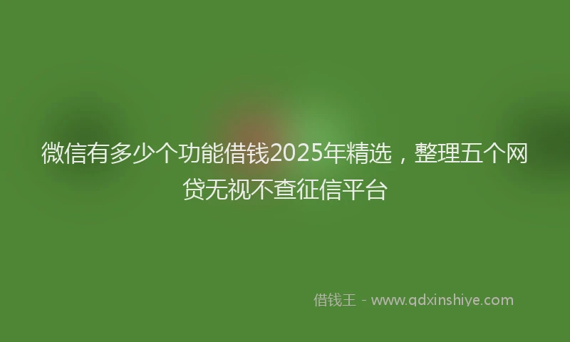 微信有多少个功能借钱2025年精选，整理五个网贷无视不查征信平台