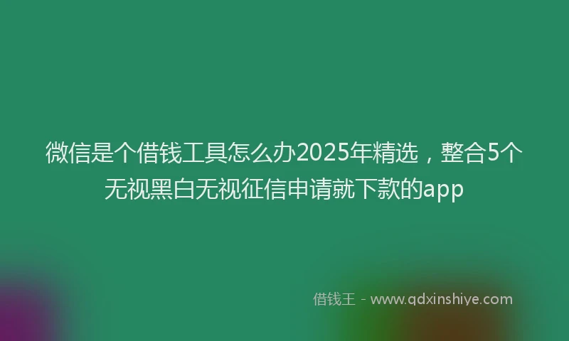 微信是个借钱工具怎么办2025年精选，整合5个无视黑白无视征信申请就下款的app