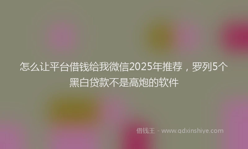 怎么让平台借钱给我微信2025年推荐，罗列5个黑白贷款不是高炮的软件