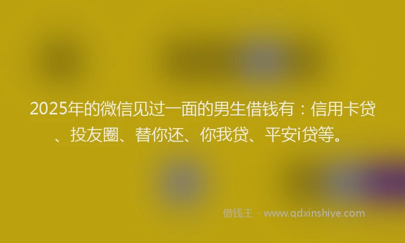 2025年的微信见过一面的男生借钱有：信用卡贷、投友圈、替你还、你我贷、平安i贷等。