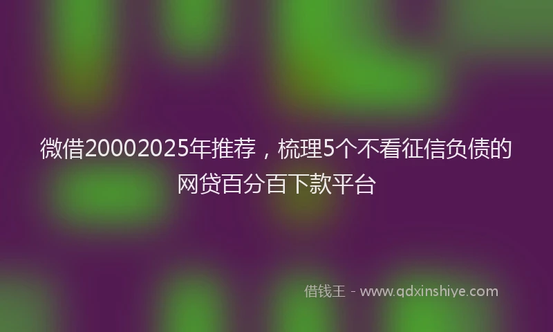 微借20002025年推荐，梳理5个不看征信负债的网贷百分百下款平台