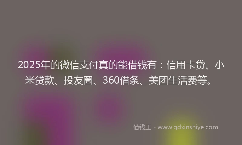 2025年的微信支付真的能借钱有：信用卡贷、小米贷款、投友圈、360借条、美团生活费等。