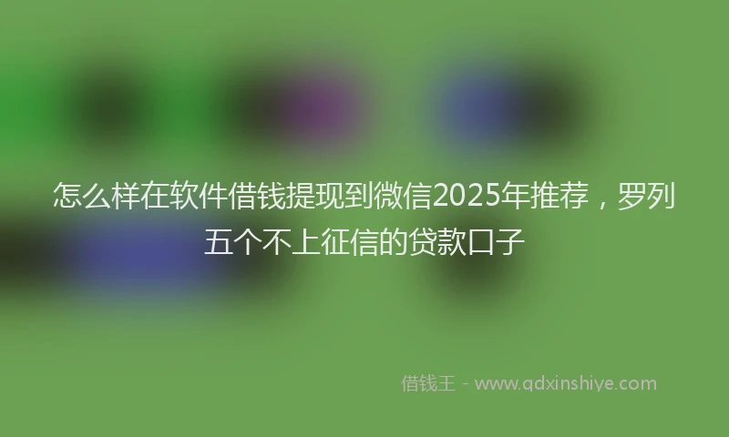 怎么样在软件借钱提现到微信2025年推荐，罗列五个不上征信的贷款口子