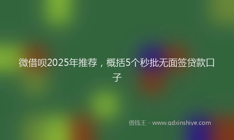 微借呗2025年推荐，概括5个秒批无面签贷款口子