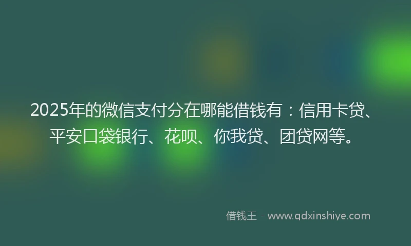 2025年的微信支付分在哪能借钱有：信用卡贷、平安口袋银行、花呗、你我贷、团贷网等。