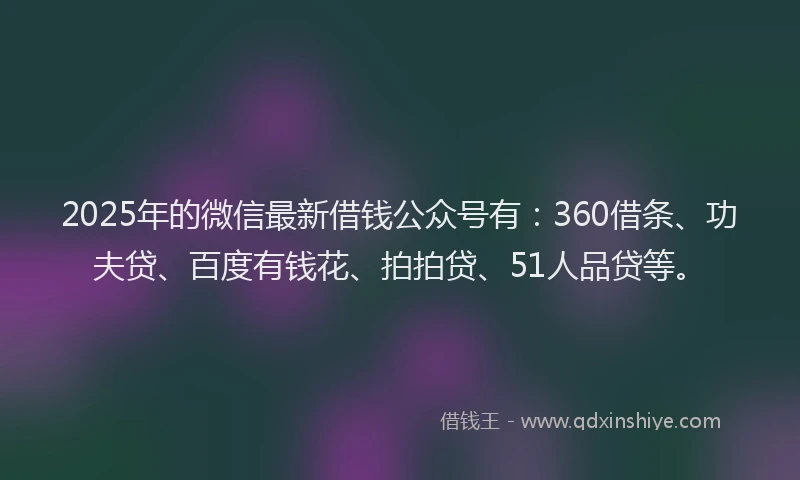 2025年的微信最新借钱公众号有：360借条、功夫贷、百度有钱花、拍拍贷、51人品贷等。