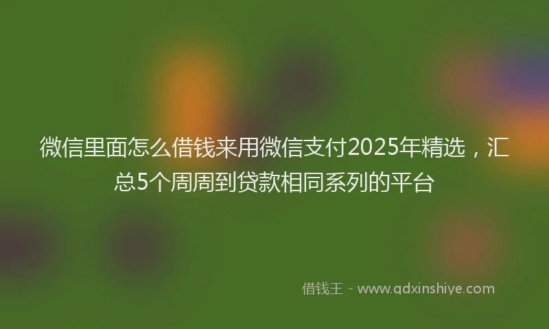 微信里面怎么借钱来用微信支付2025年精选，汇总5个周周到贷款相同系列的平台