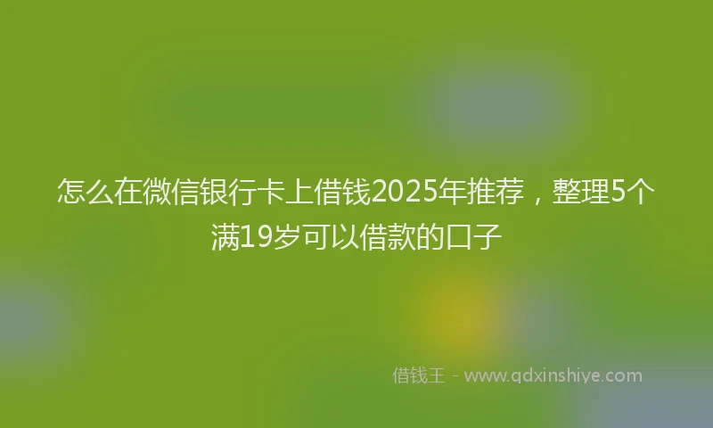 怎么在微信银行卡上借钱2025年推荐，整理5个满19岁可以借款的口子