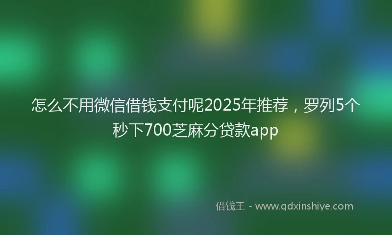 怎么不用微信借钱支付呢2025年推荐，罗列5个秒下700芝麻分贷款app