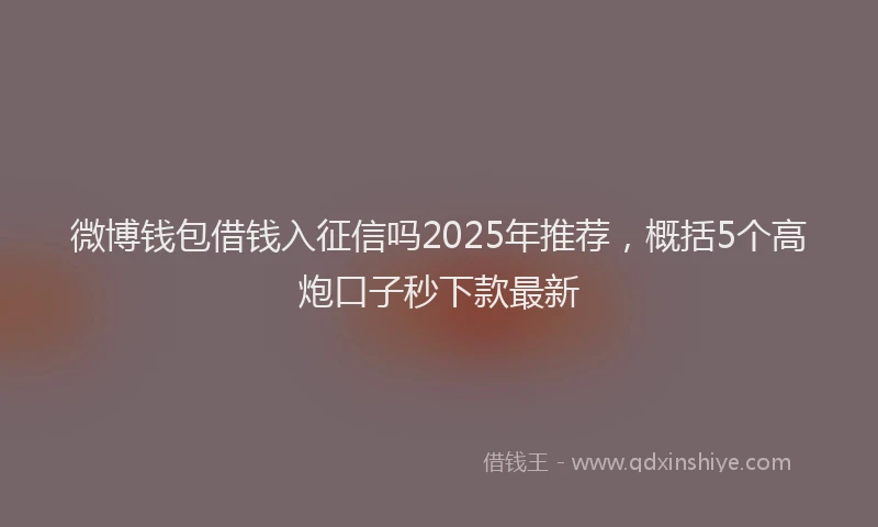 微博钱包借钱入征信吗2025年推荐，概括5个高炮口子秒下款最新