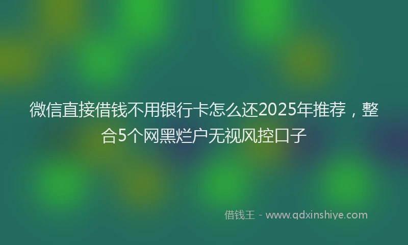 微信直接借钱不用银行卡怎么还2025年推荐，整合5个网黑烂户无视风控口子