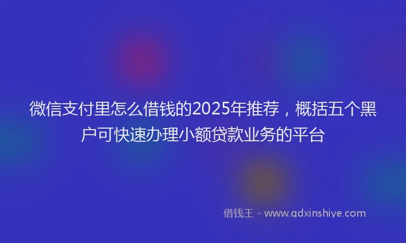 微信支付里怎么借钱的2025年推荐，概括五个黑户可快速办理小额贷款业务的平台