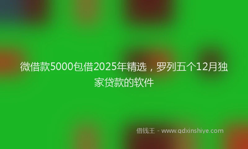 微借款5000包借2025年精选，罗列五个12月独家贷款的软件