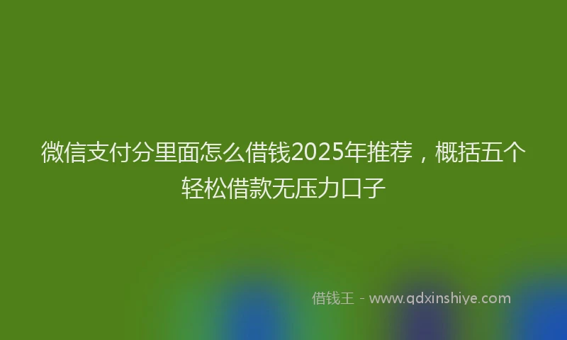 微信支付分里面怎么借钱2025年推荐，概括五个轻松借款无压力口子