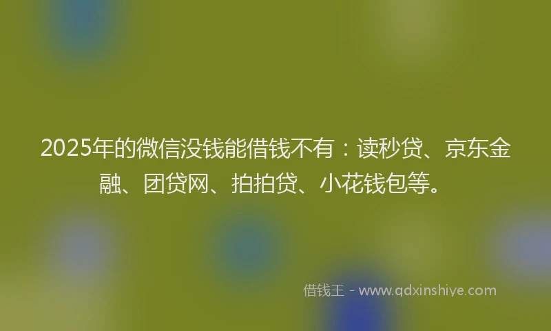2025年的微信没钱能借钱不有：读秒贷、京东金融、团贷网、拍拍贷、小花钱包等。