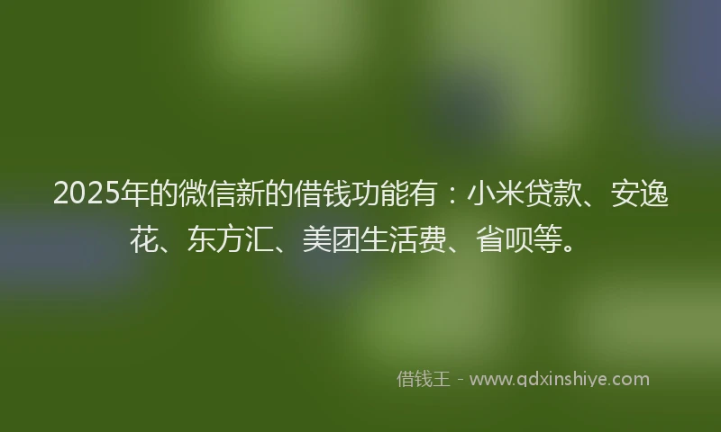 2025年的微信新的借钱功能有：小米贷款、安逸花、东方汇、美团生活费、省呗等。