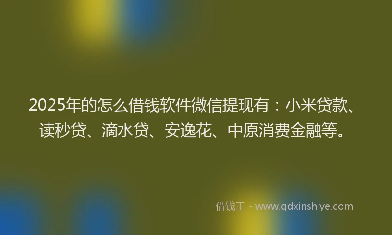 2025年的怎么借钱软件微信提现有：小米贷款、读秒贷、滴水贷、安逸花、中原消费金融等。