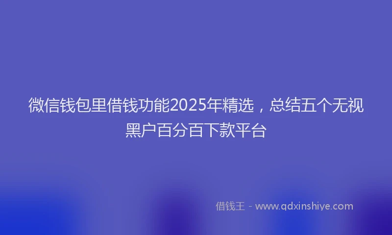 微信钱包里借钱功能2025年精选，总结五个无视黑户百分百下款平台