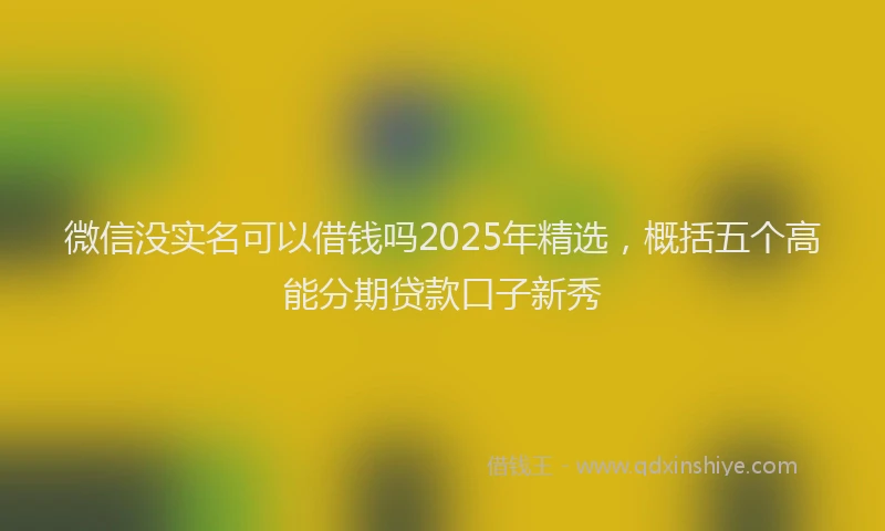 微信没实名可以借钱吗2025年精选，概括五个高能分期贷款口子新秀