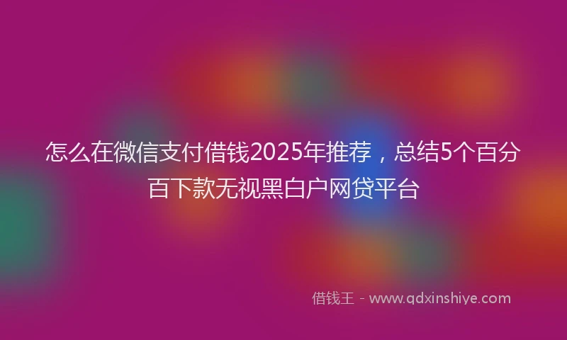 怎么在微信支付借钱2025年推荐，总结5个百分百下款无视黑白户网贷平台