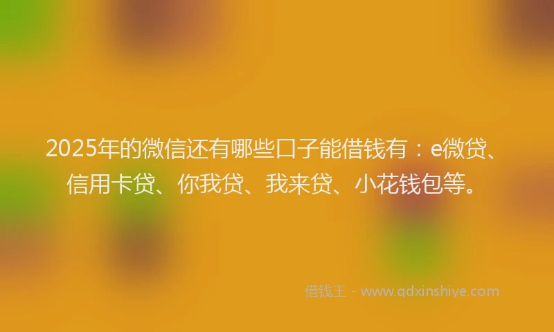 2025年的微信还有哪些口子能借钱有：e微贷、信用卡贷、你我贷、我来贷、小花钱包等。