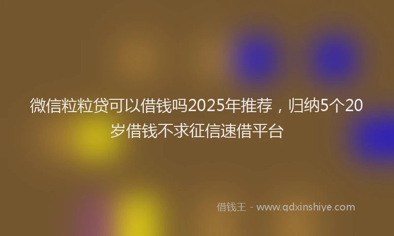 微信粒粒贷可以借钱吗2025年推荐，归纳5个20岁借钱不求征信速借平台