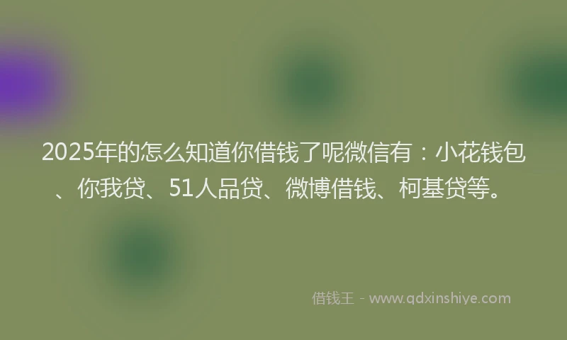 2025年的怎么知道你借钱了呢微信有：小花钱包、你我贷、51人品贷、微博借钱、柯基贷等。