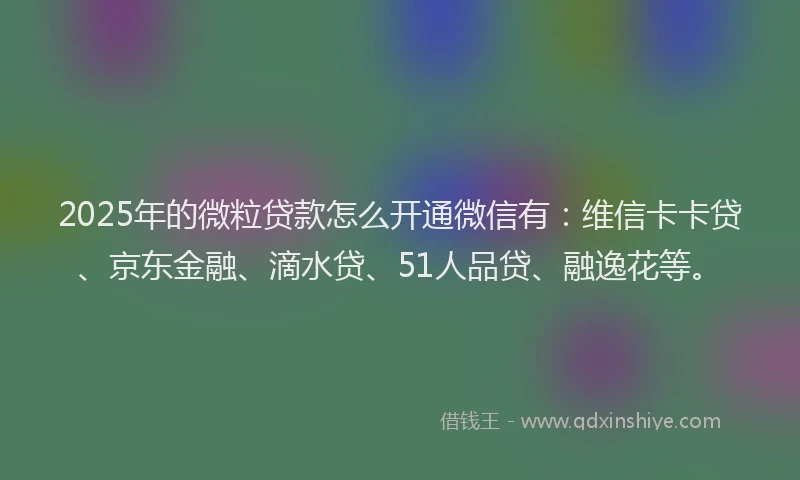 2025年的微粒贷款怎么开通微信有：维信卡卡贷、京东金融、滴水贷、51人品贷、融逸花等。