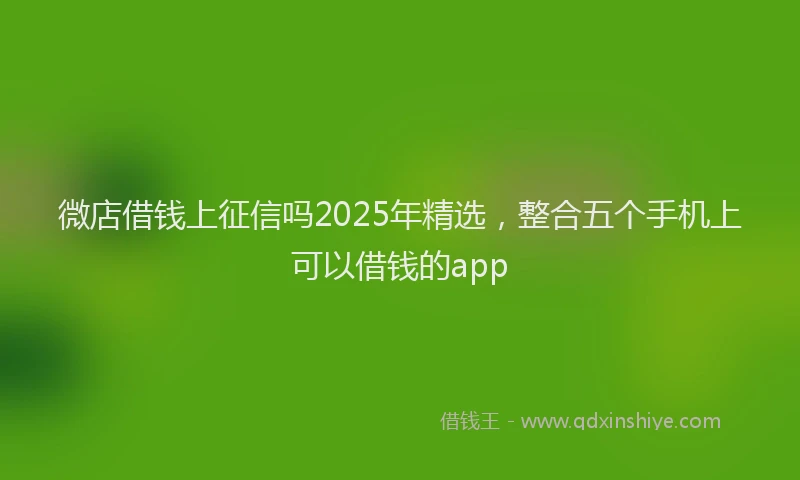 微店借钱上征信吗2025年精选，整合五个手机上可以借钱的app
