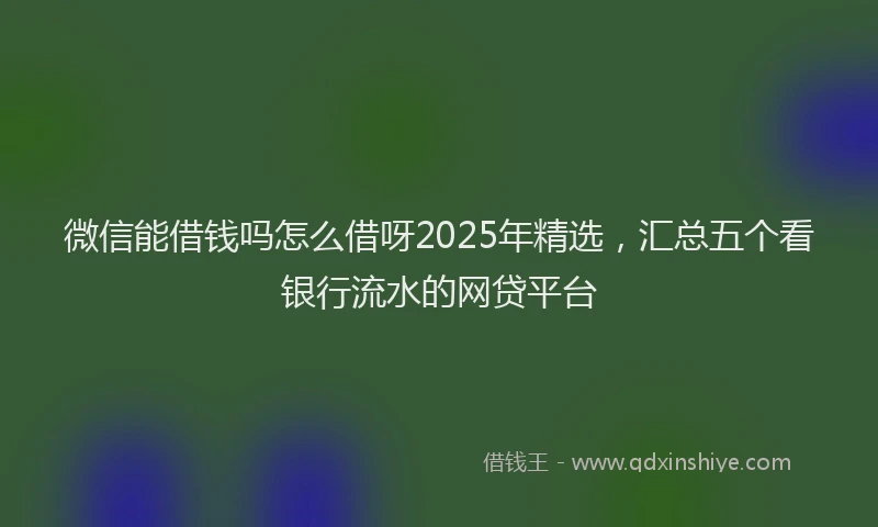 微信能借钱吗怎么借呀2025年精选，汇总五个看银行流水的网贷平台