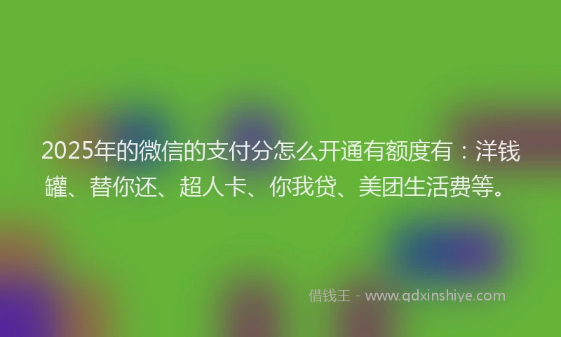 2025年的微信的支付分怎么开通有额度有：洋钱罐、替你还、超人卡、你我贷、美团生活费等。