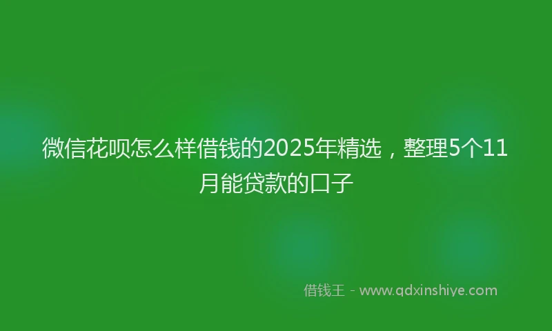 微信花呗怎么样借钱的2025年精选，整理5个11月能贷款的口子