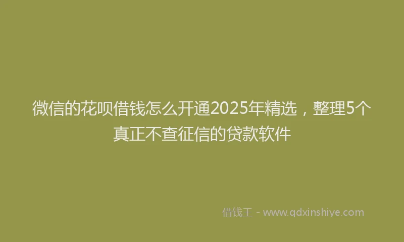 微信的花呗借钱怎么开通2025年精选，整理5个真正不查征信的贷款软件