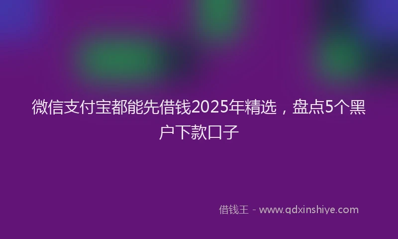 微信支付宝都能先借钱2025年精选，盘点5个黑户下款口子