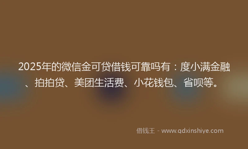 2025年的微信金可贷借钱可靠吗有：度小满金融、拍拍贷、美团生活费、小花钱包、省呗等。