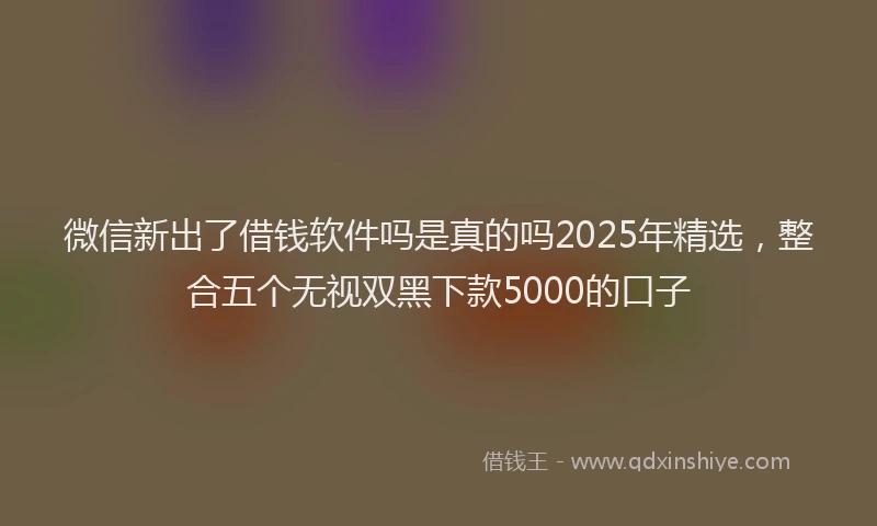 微信新出了借钱软件吗是真的吗2025年精选，整合五个无视双黑下款5000的口子