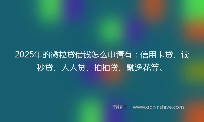 2025年的微粒贷借钱怎么申请有：信用卡贷、读秒贷、人人贷、拍拍贷、融逸花等。